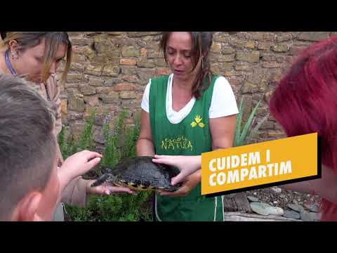 Educadors Socials de MútuaTerrassa: Qui som i què fem?